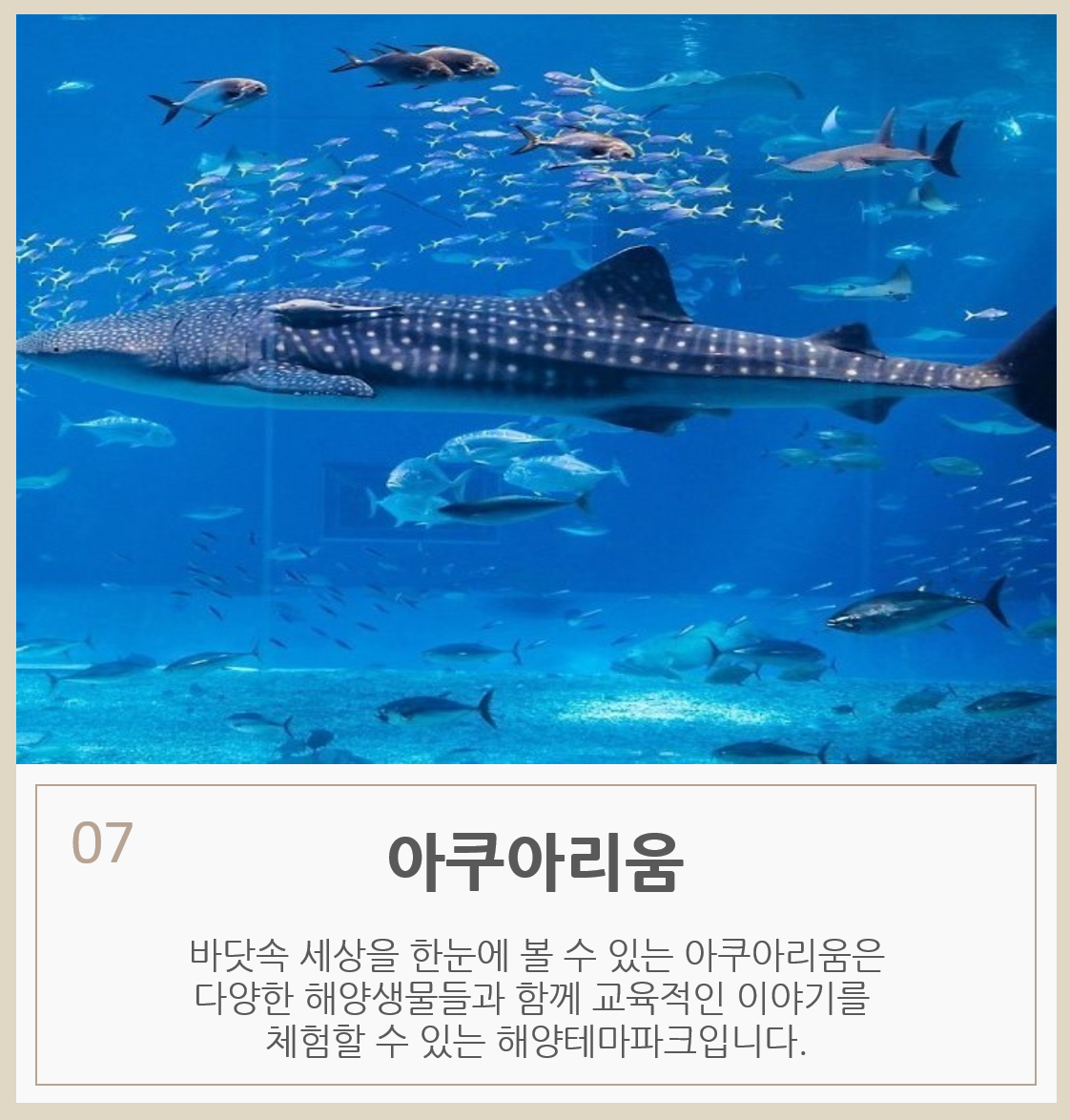 01cae2c9c32b32a266b48d81d9cb6f95_1747715809_7711.png